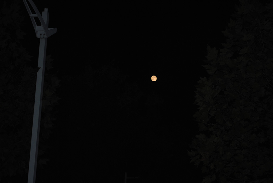 dsc_1927.jpg