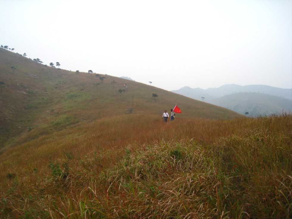 qqͼƬ20121013214745.jpg