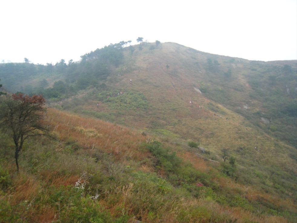 qqͼƬ20121013214029.jpg