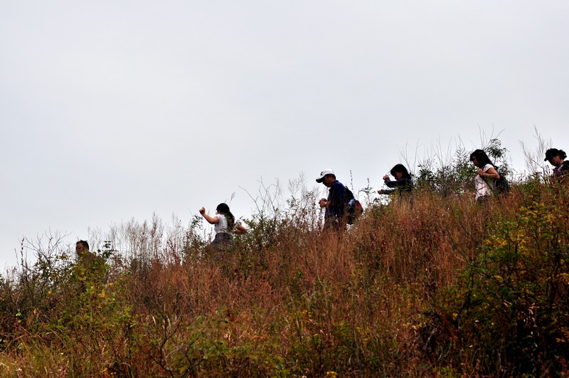dsc_0292.jpg