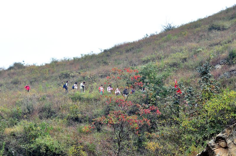 dsc_0295.jpg