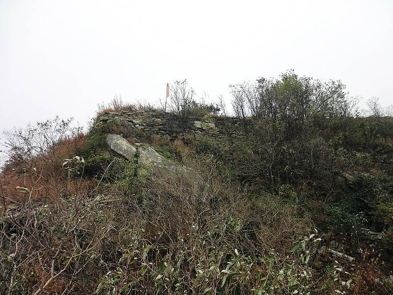 dsc01389.jpg