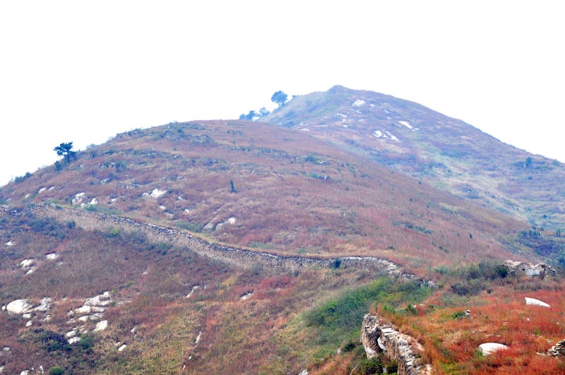 dsc_0312.jpg