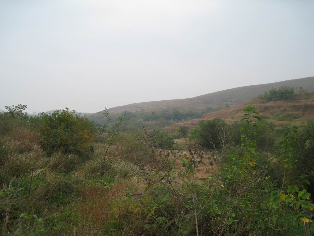 С  035.jpg