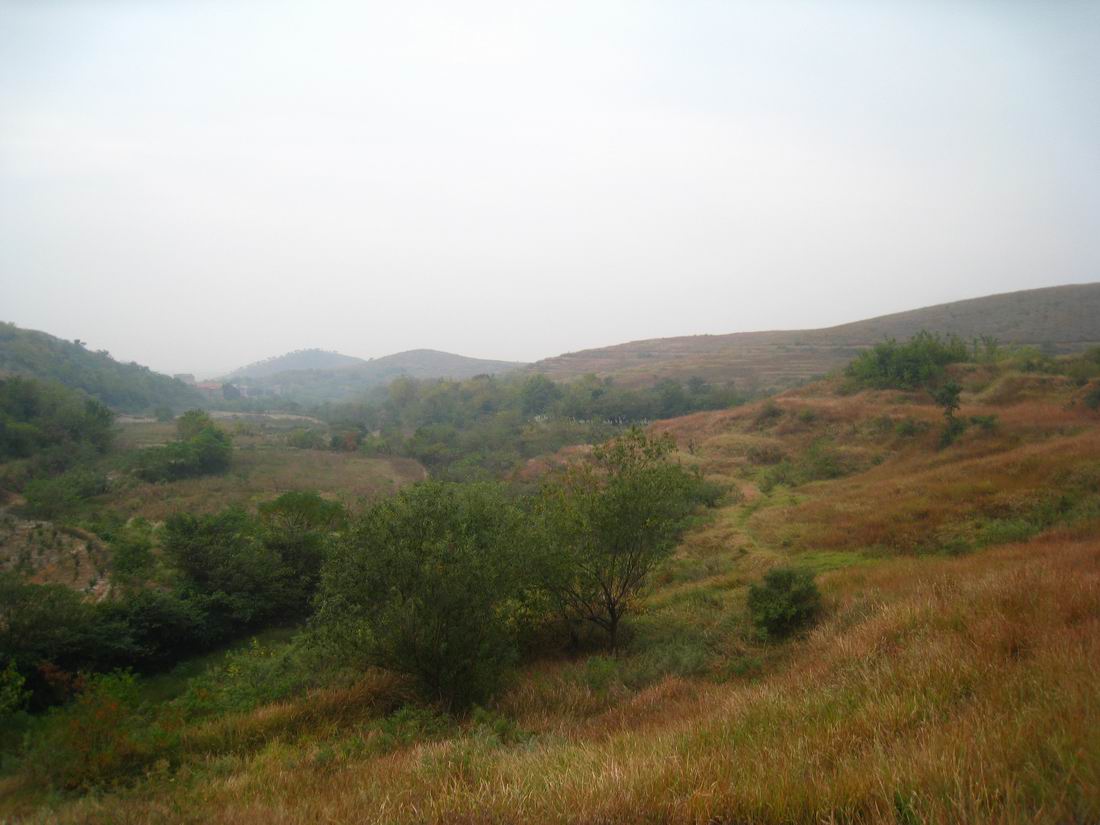 С  041.jpg