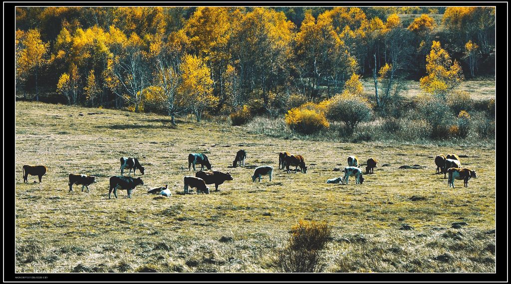 dsc_0151.jpg