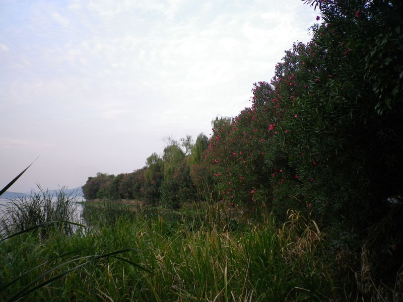 imgp6921.jpg