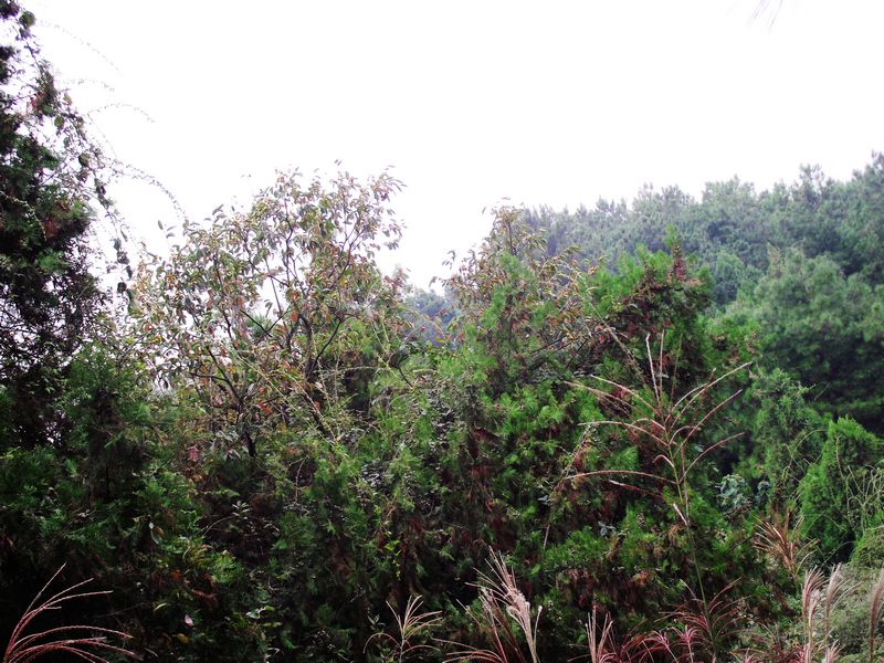 dscf5224.jpg
