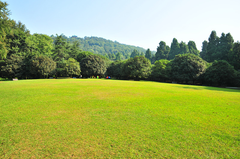 dsc_1501_����.jpg