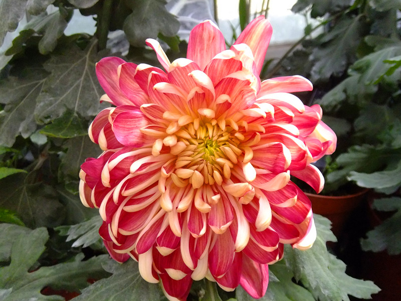 dscf78301_����.jpg
