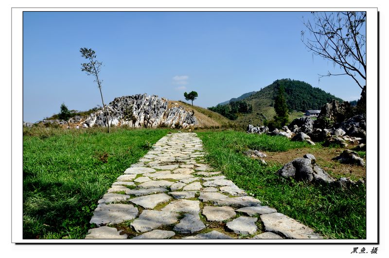 ǧҰݳ (1).jpg