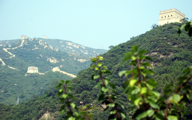 dsc_0367.jpg