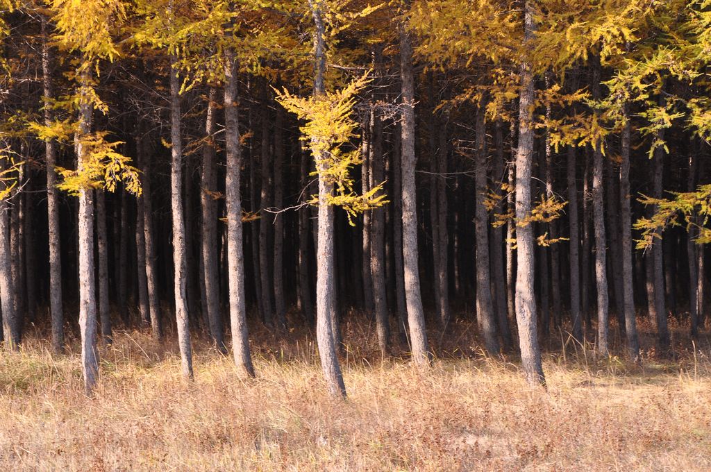 dsc_0314.jpg
