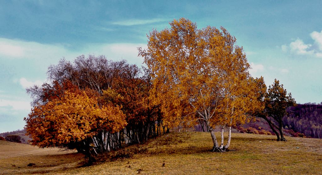 ���� dsc_0423.jpg