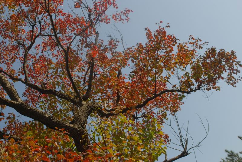 dsc_0026.jpg