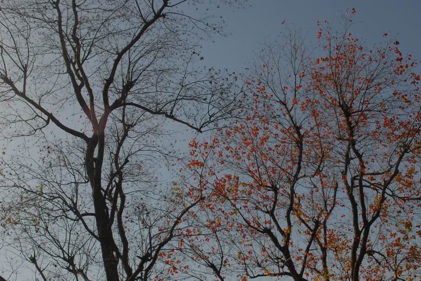 dsc_0038.jpg