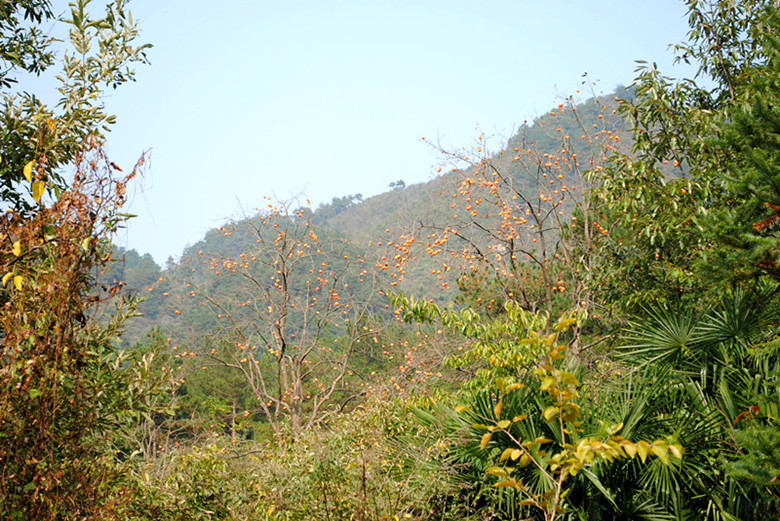 dsc_0064__.jpg