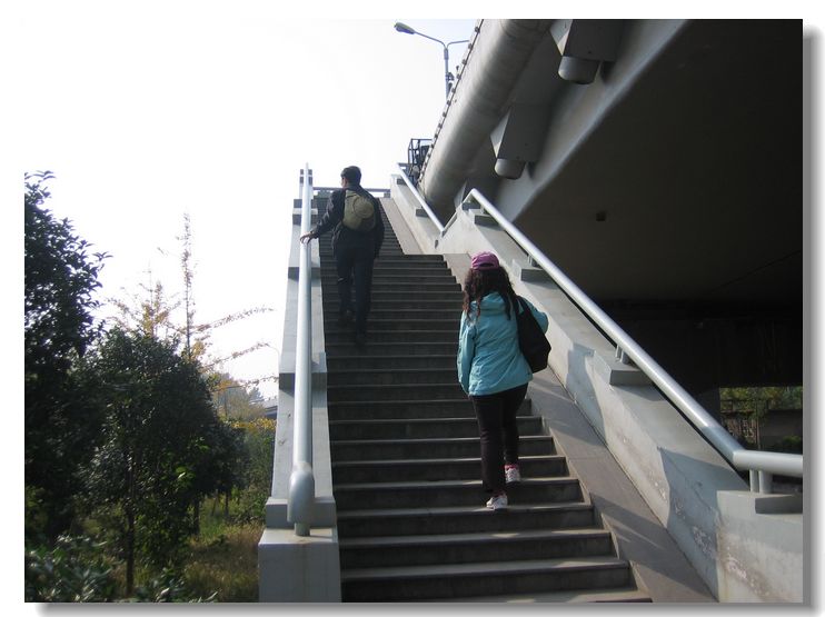 20121117 015.jpg