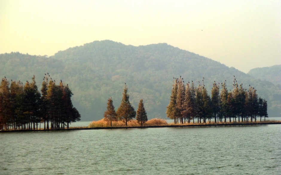 p1040630a.jpg