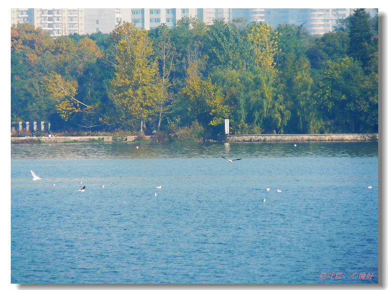 p1440684.jpg