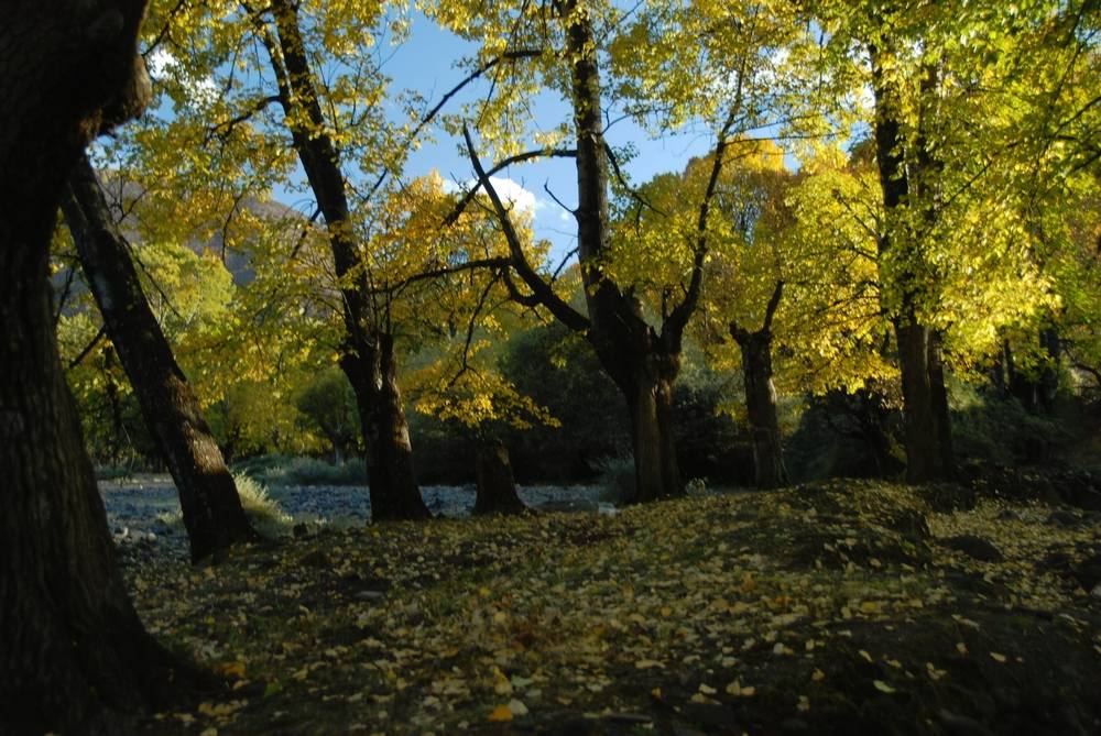 dsc_0179.jpg