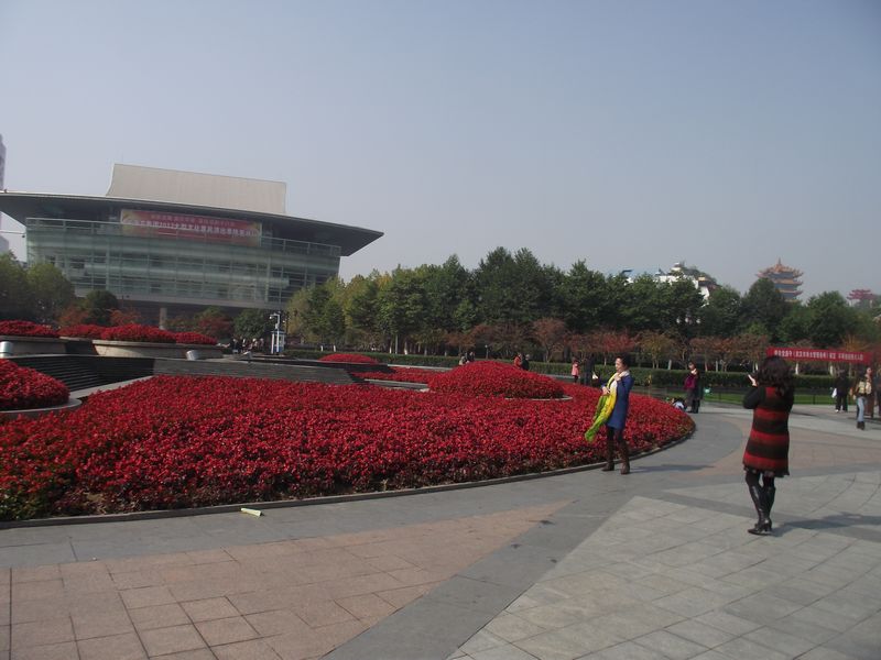dscf5234.jpg