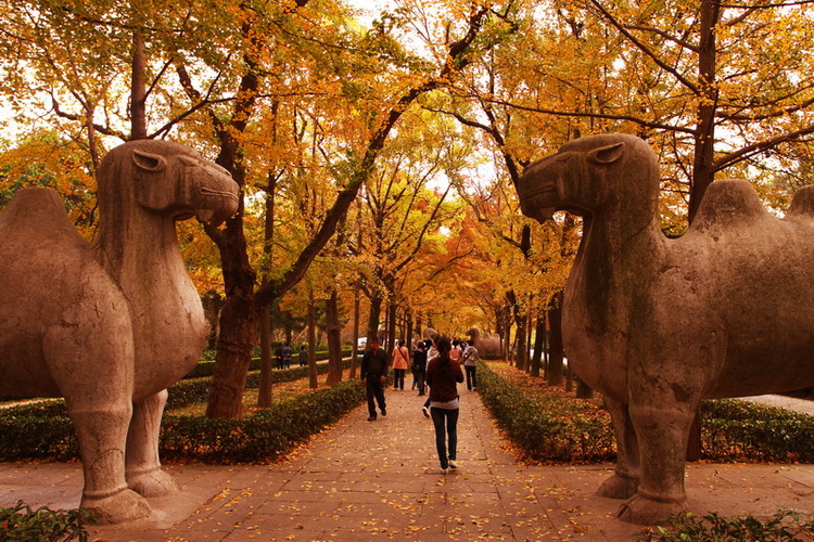 ��Т�����.jpg