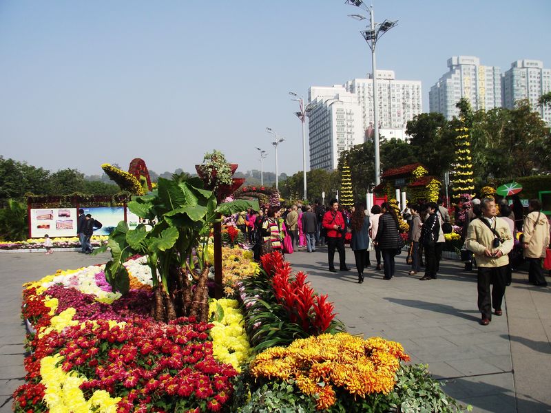 dscf5178.jpg
