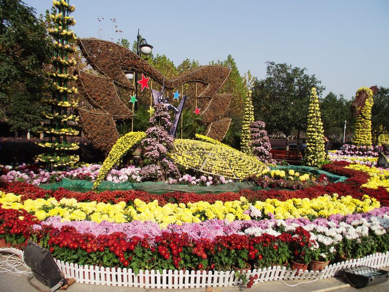 dscf1249.jpg