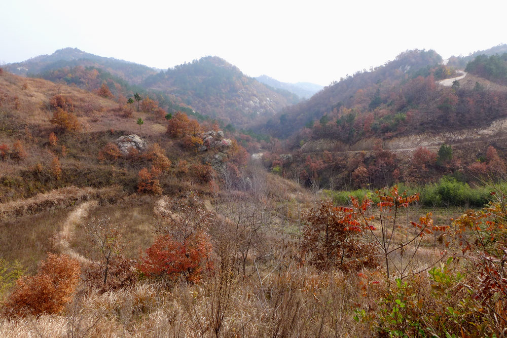 p1030579.jpg