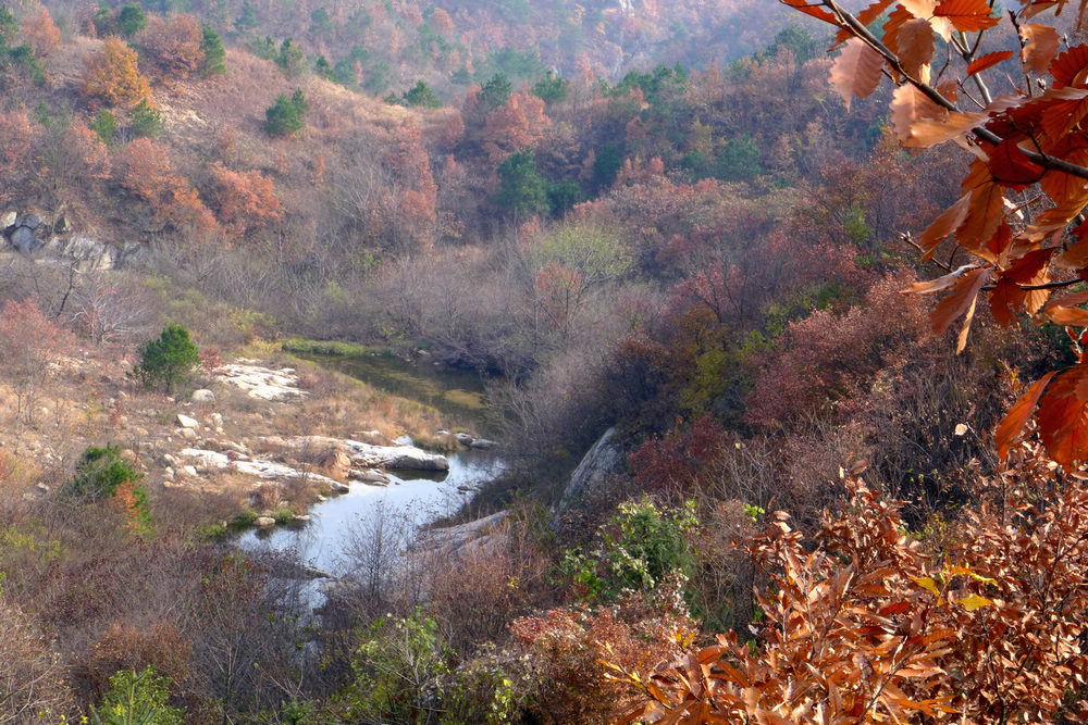 p1030595.jpg