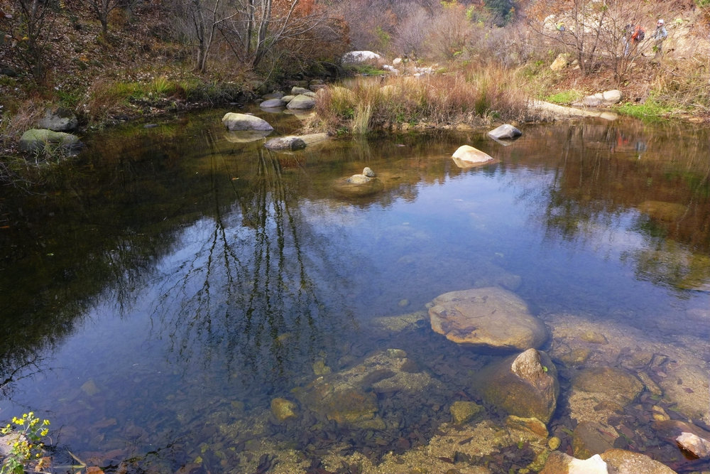 p1030633.jpg