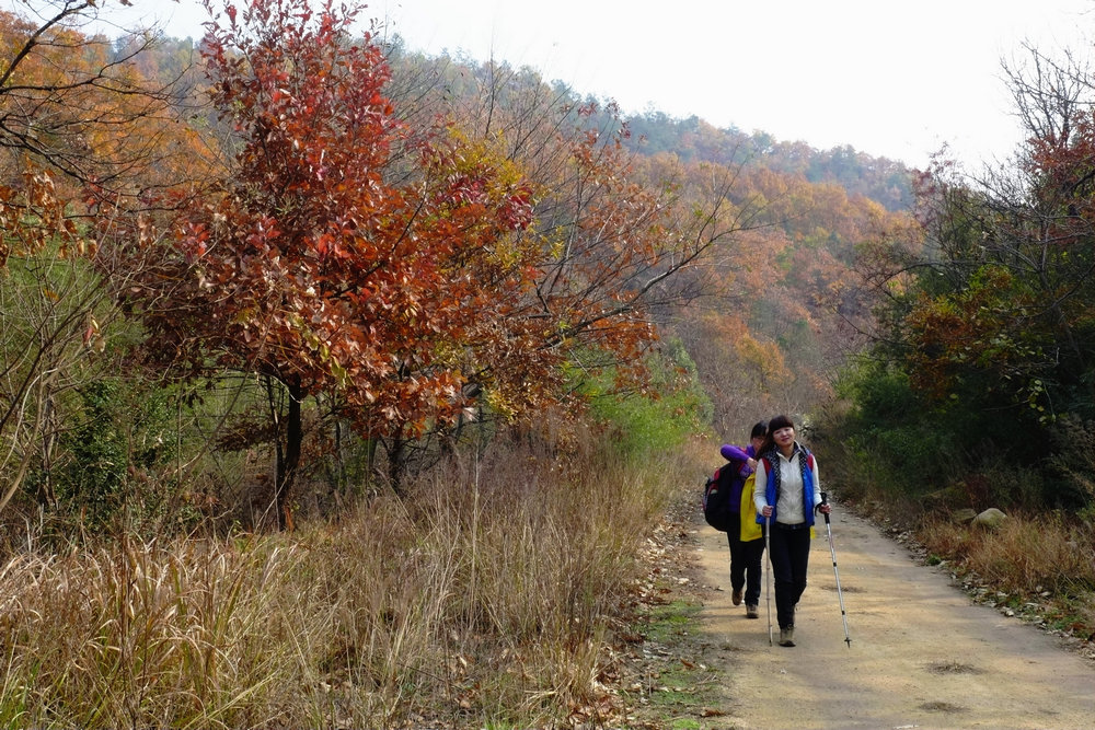 p1030629.jpg