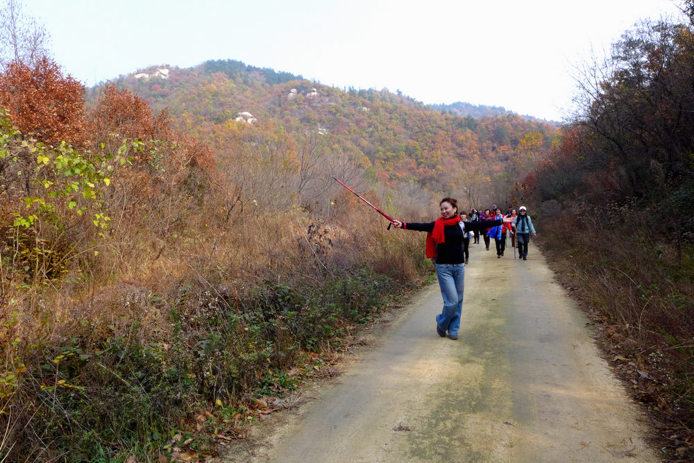 p1030638.jpg