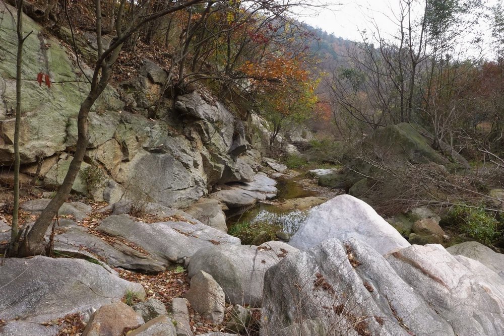 p1030672.jpg