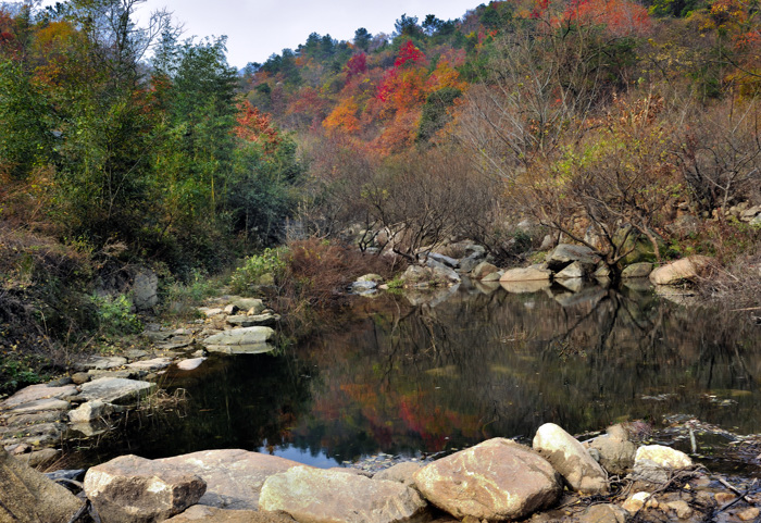_dsc5937.jpg