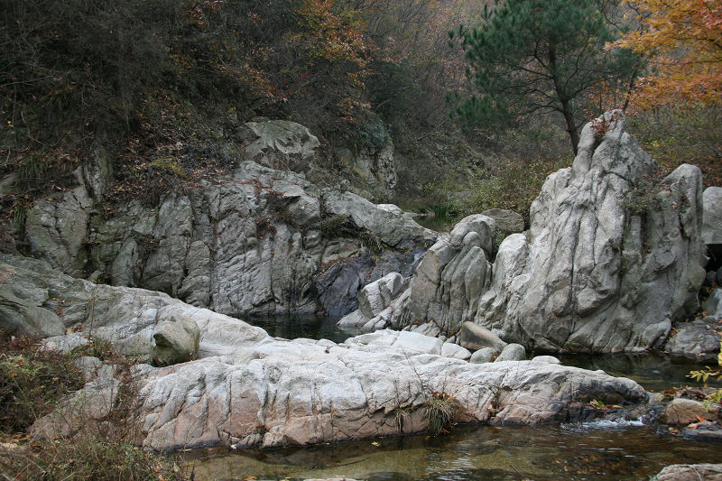 img_0465g.jpg