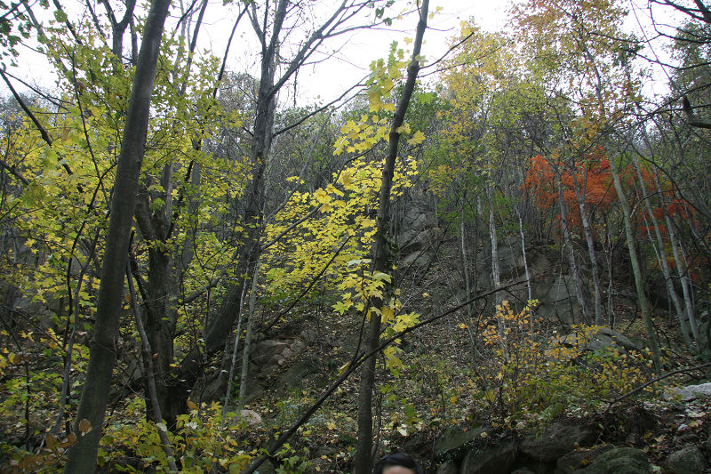 img_0495g.jpg