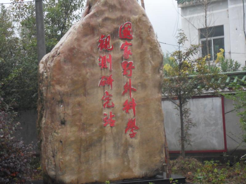 sdc17754.jpg