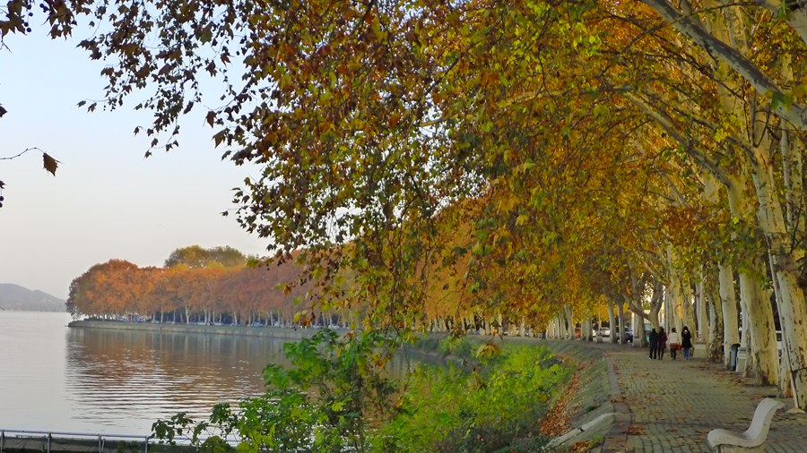 p1040192_.jpg
