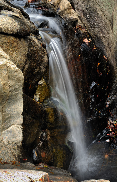 _dsc5968.jpg