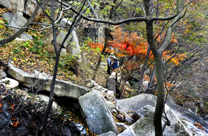 _dsc6029.jpg