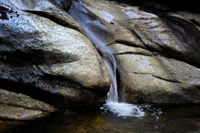 _dsc6050.jpg