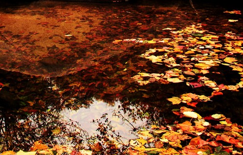 20121126111910255831_conew1.jpg