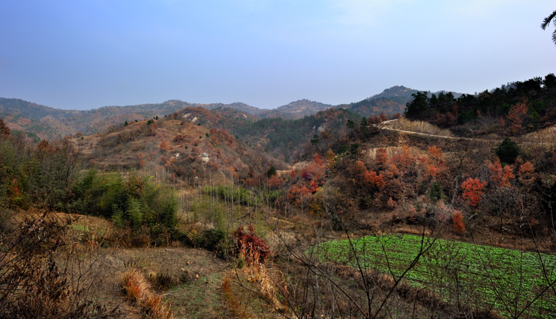 _dsc5882.jpg