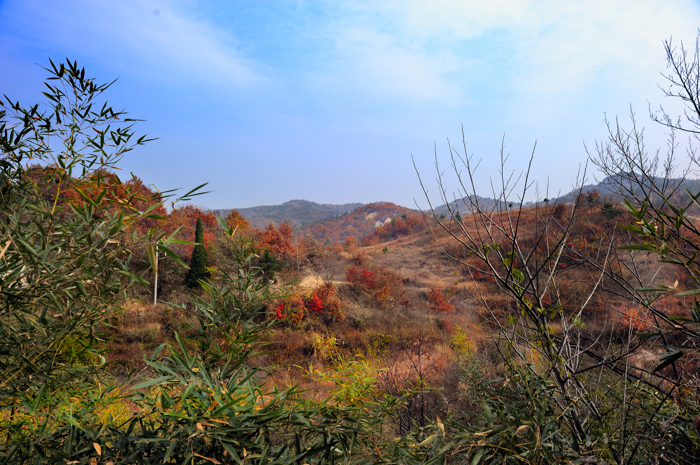 _dsc5883.jpg