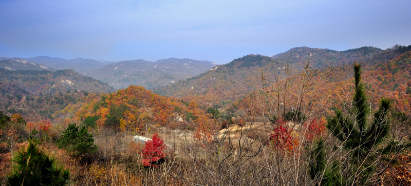 _dsc5891.jpg