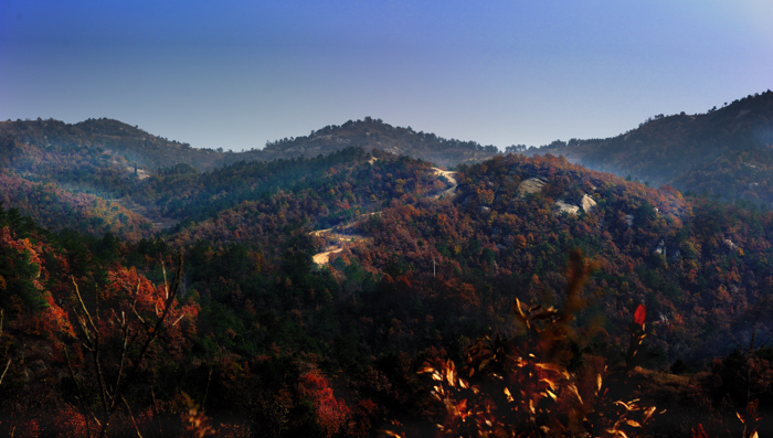 _dsc5896.jpg