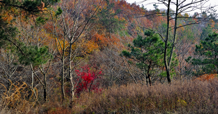 _dsc5904.jpg