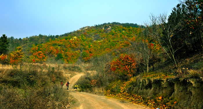 _dsc5917.jpg